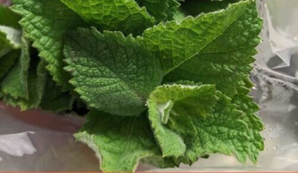 Farmer Highlight: Martin’s Farmstand