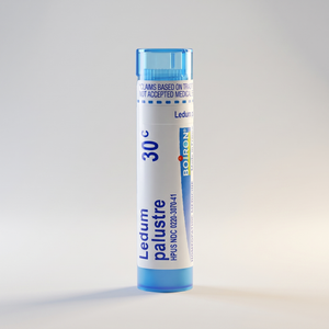 Ledum Palustre 30C MD
