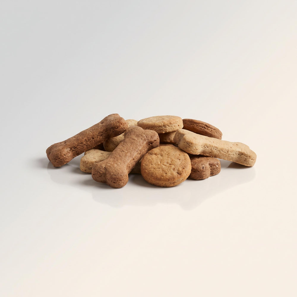 Dog Treats, Dog Biscuit