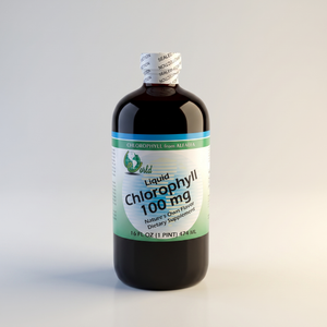 A4, Liquid Chlorophyll, 100 mg, 16 fl oz, World Organic