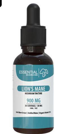 TINCTURE - LION'S MANE Mushroom