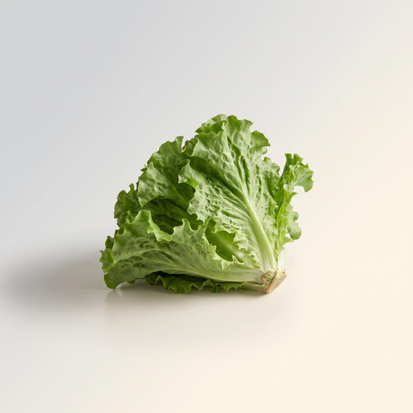 Head Lettuce, Local & Organic