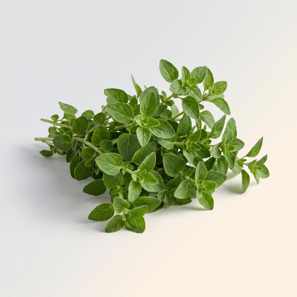 Oregano, local, organic