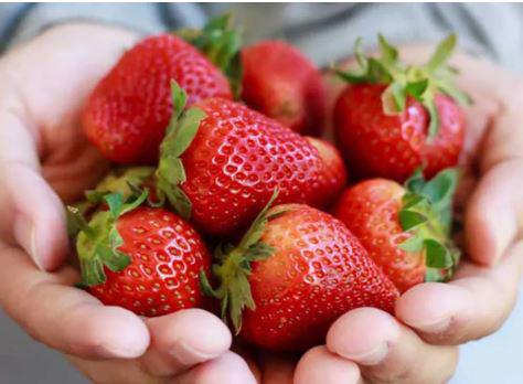 Berries, Strawberries