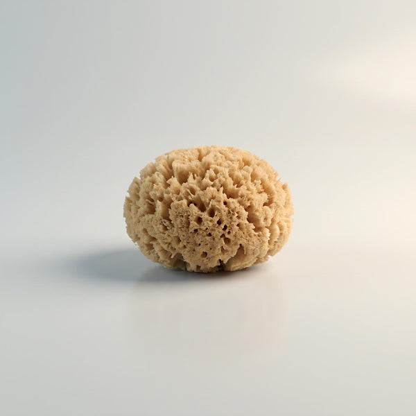 BATH SEA SPONGE 4-5"