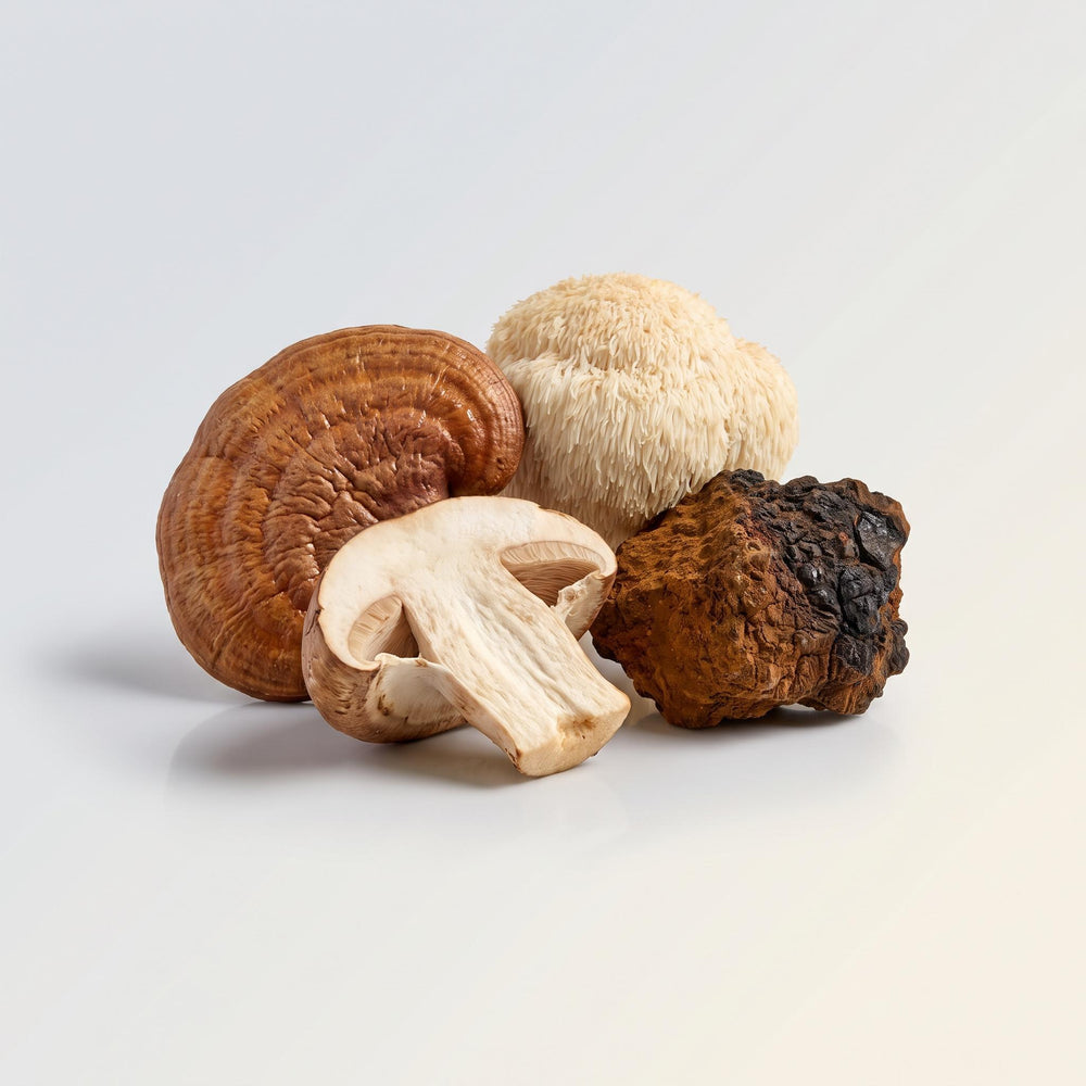 Om Immune 100g, Organic Mushroom Nutrition