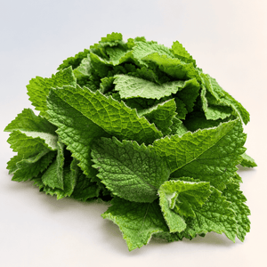 Fresh Mint, Local Ferris Ridge