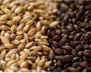 BARLEY MALT,OG2