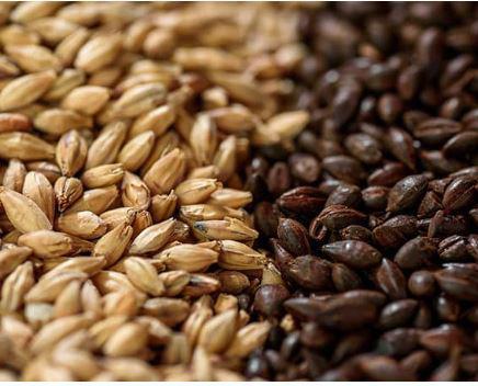 BARLEY MALT,OG2