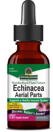 Echinacea