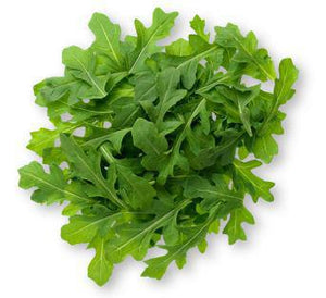 Arugula, Organic