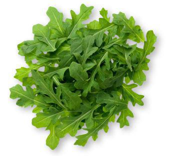 Arugula, Organic