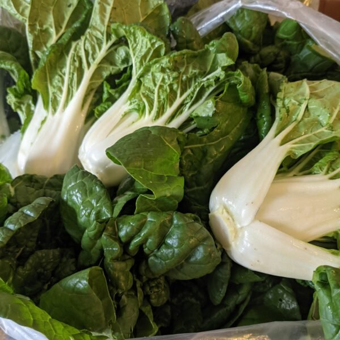 Calm the Heck Down, Body: An Honest Look at Inflammation