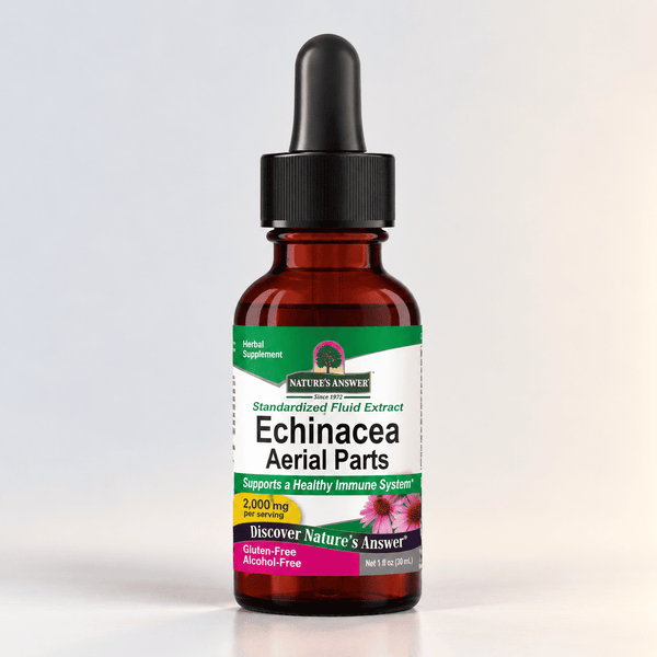 Echinacea