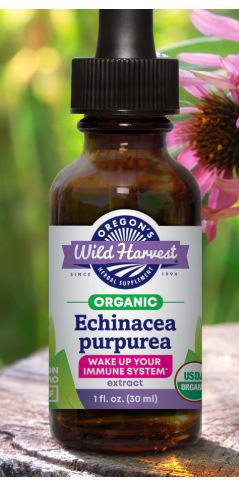 G6, Echinacea purpurea root (fresh), Organic - 1:1