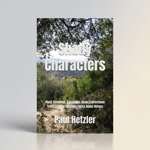 Book, Shady Characters