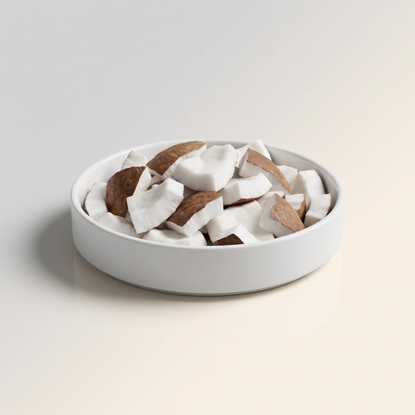 Coconut Chunks 4 oz