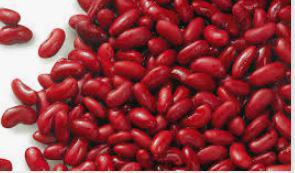 Dark Red Kidney Beans, Field Day, Organic