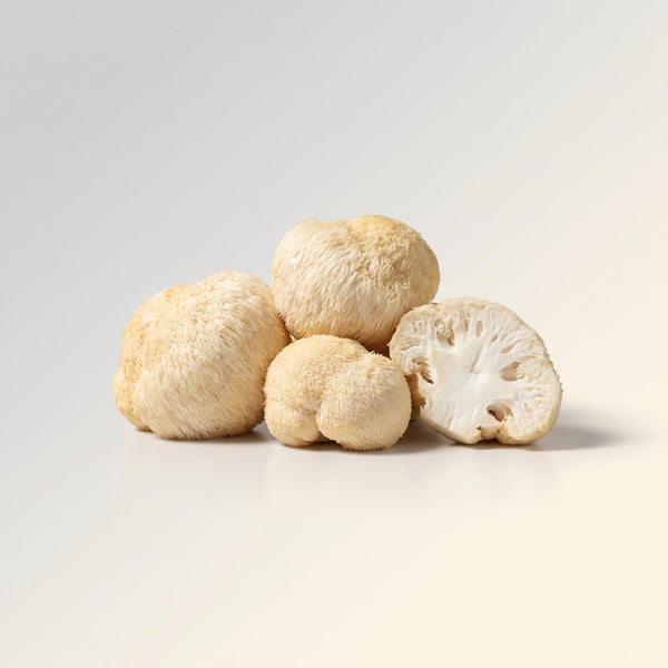 Lion's Mane Mushroom 100g, Om