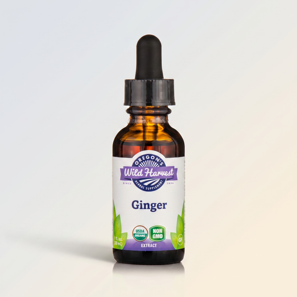H2, Ginger, Organic - 1:4