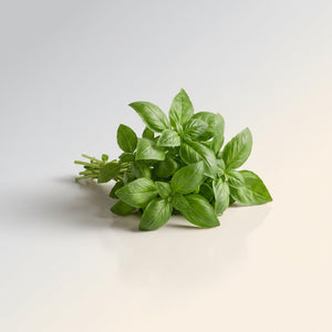 Lentil Snaps Tmo Basil