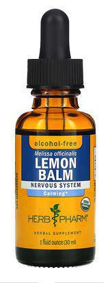 H5, Lemon Balm Glycerite