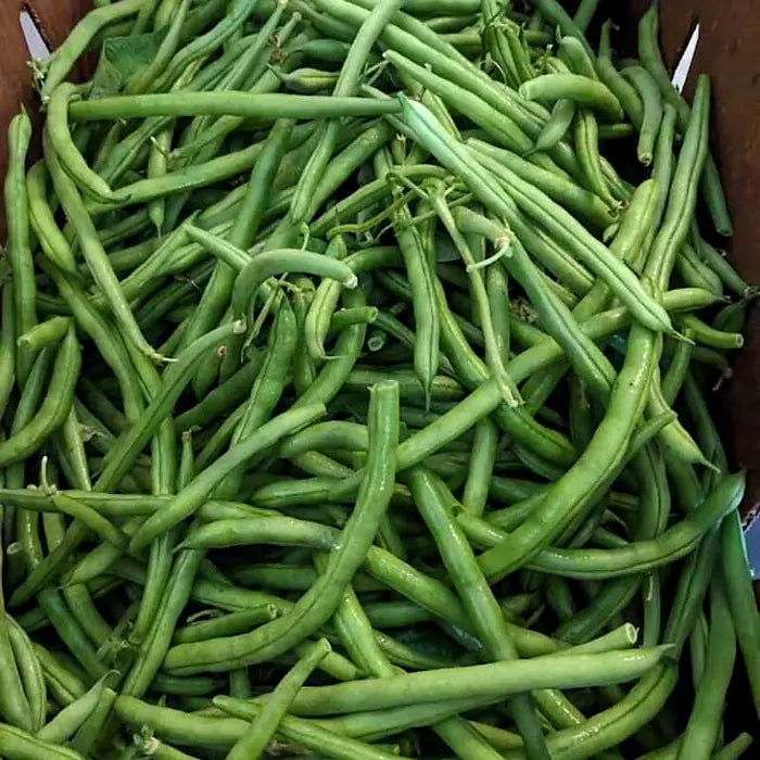 Stress, Sleep, and Salad: The Real Keys to Staying Healthy This Fall