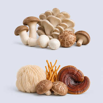 Mushrooms & Adaptogens